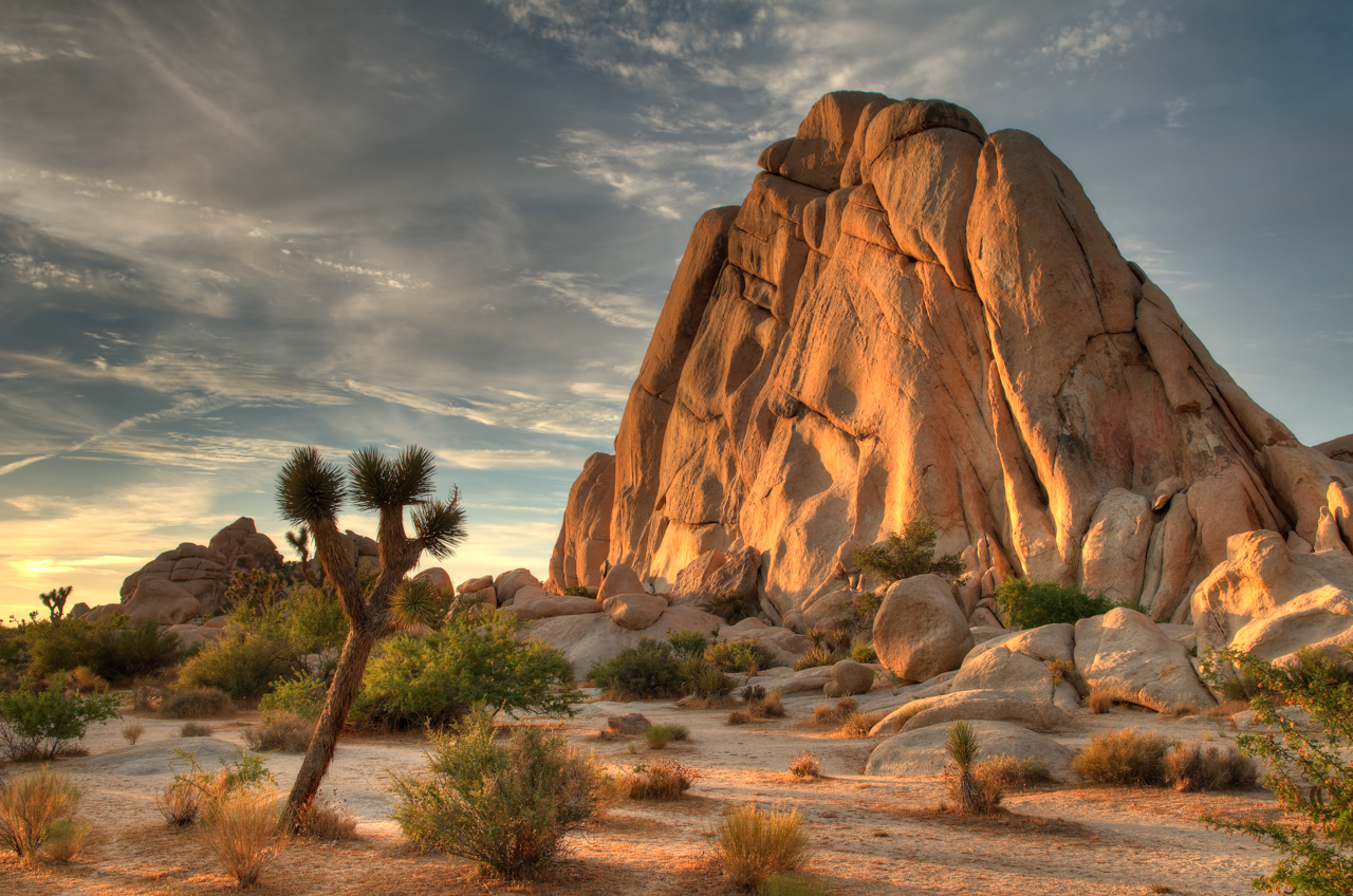 Sunset at Joshua Tree National Park in Southern California