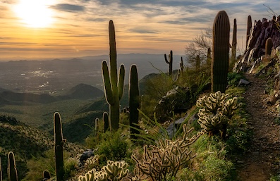 Sonoran2