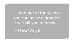 David Whyte quote