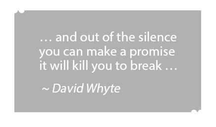 David Whyte quote