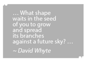 David Whyte quote