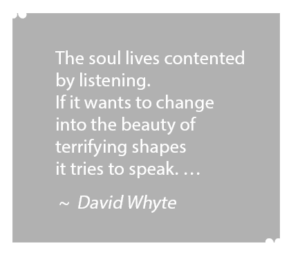 david whyte quote