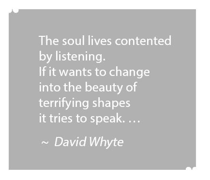 training-quote david whyte quote